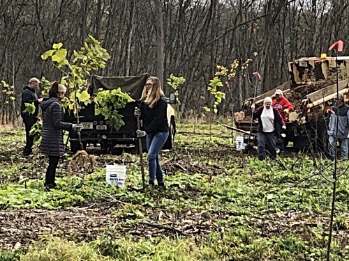 Tree Planting in Colonial Park